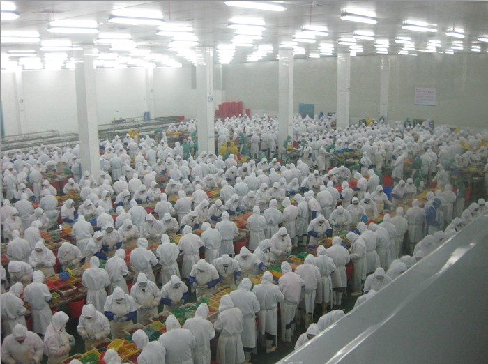 食品无尘室净化工程-德炎水产食 食品无尘室净化工程-德炎水产食